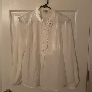 Sheer J. Crew dress shirt